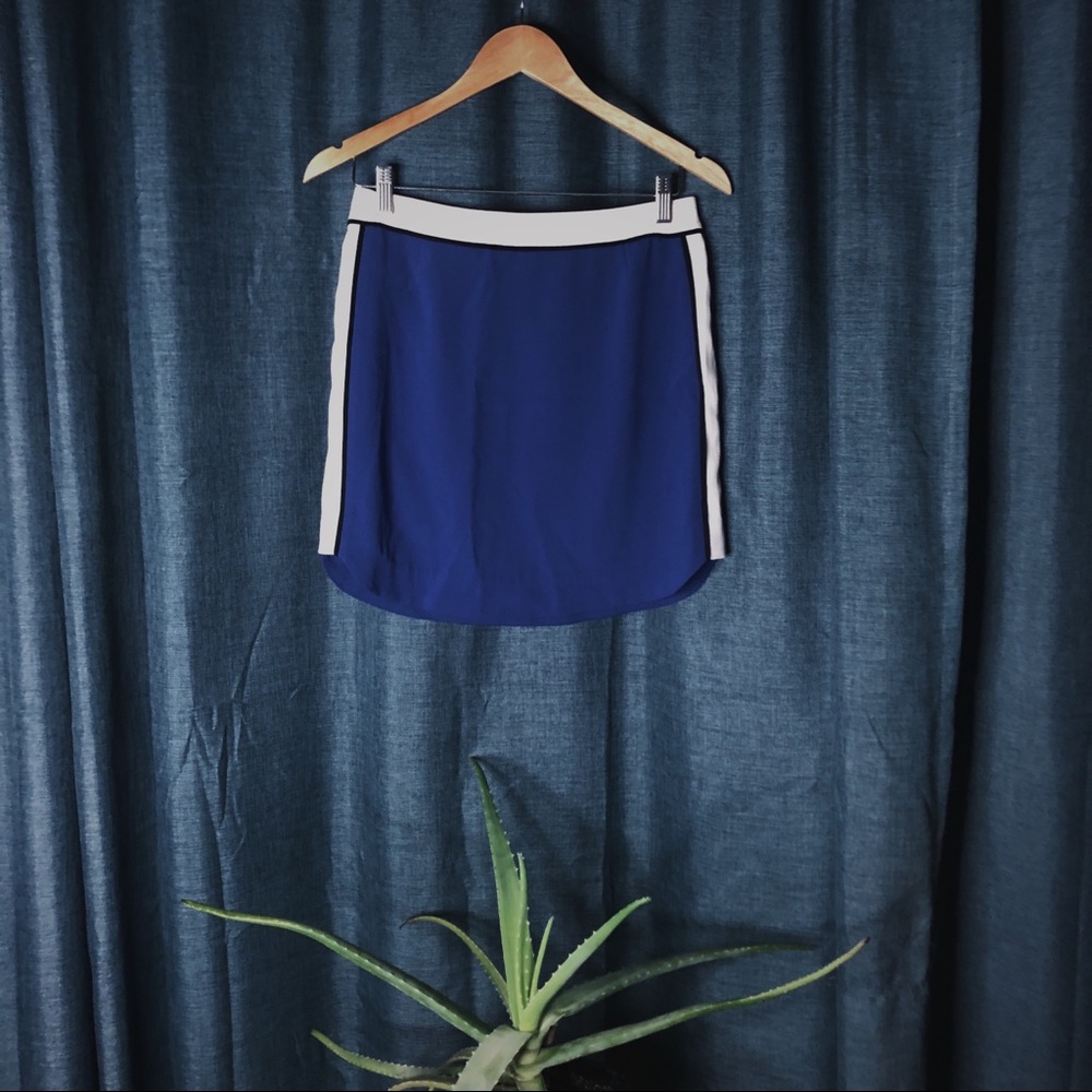 💥24 HR CLEAR-OUT💥 Babaton Mini Skirt